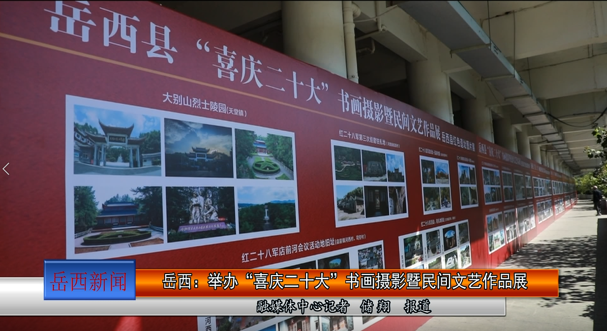 岳西:举办“喜庆二十大”书画摄影暨民间文艺作品展
